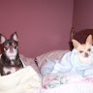 Meet your Posher, Pam